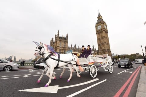 produits shopify licorne